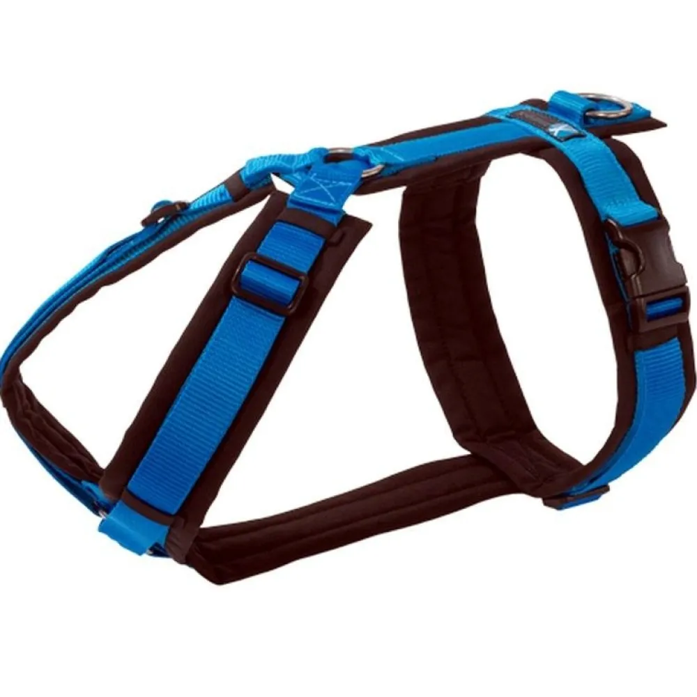 Halsbänder, Leinen & Geschirre>Futterfreund Anny-x Brustgeschirr Fun, schwarz/blau