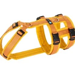 Halsbänder, Leinen & Geschirre>Futterfreund Anny-x Brustgeschirr Safety, Goldglöckchen