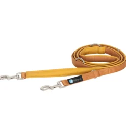Halsbänder, Leinen & Geschirre>Futterfreund Anny-x Führleine Classic Bolt Fun, 3m, Goldglöckchen