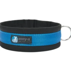 Halsbänder, Leinen & Geschirre>Futterfreund Anny-x Steckhalsband Fun, schwarz/blau