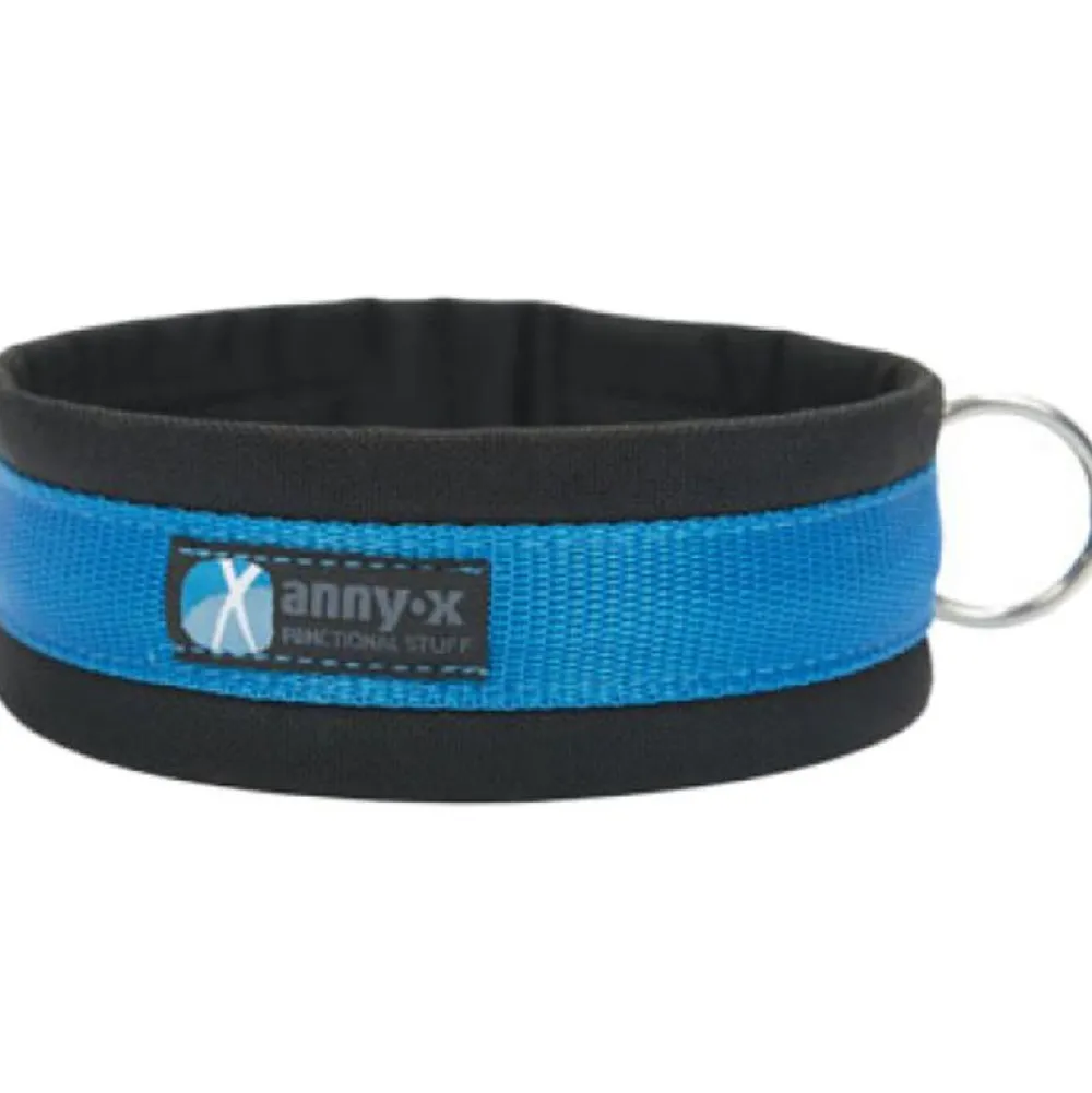 Halsbänder, Leinen & Geschirre>Futterfreund Anny-x Steckhalsband Fun, schwarz/blau