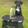Barfgold|Unterwegs Mit Hund>Futterfreund Barfgold Kühlkorb m. Vortasche und Reißverschluss