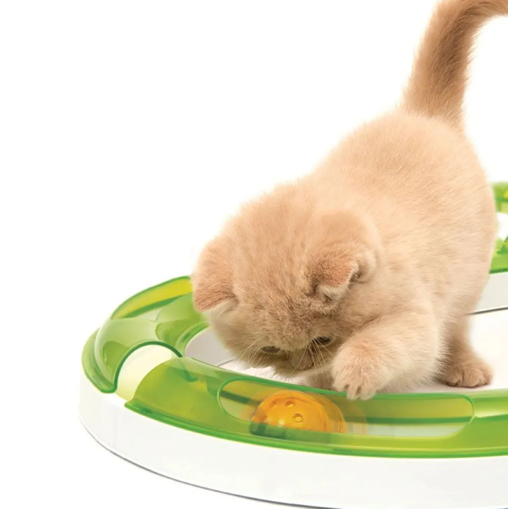 Katzenspielzeug>Futterfreund Catit Senses 2.0 Play Circuit, 135cm