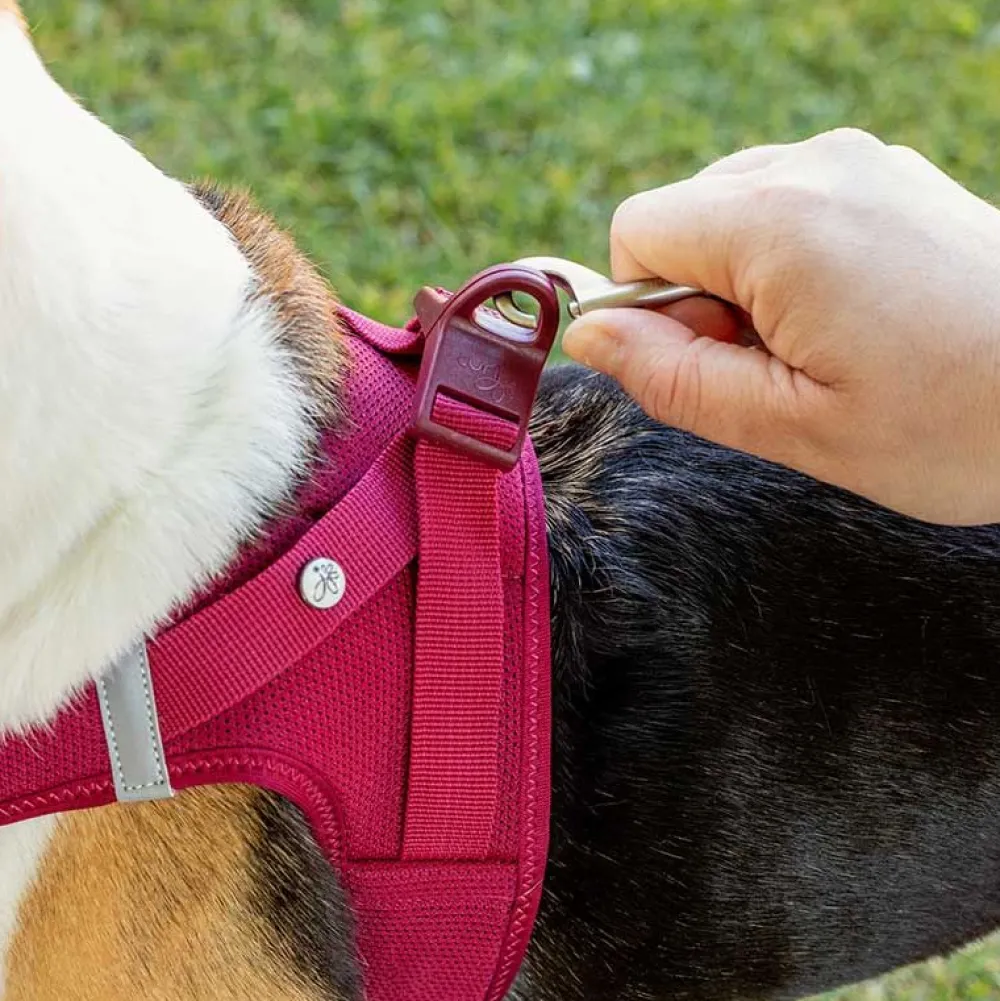 Halsbänder, Leinen & Geschirre>Futterfreund Curli Geschirr Vest Air-Mesh Clasp, Mango