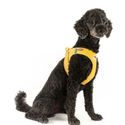 Halsbänder, Leinen & Geschirre>Futterfreund Curli Geschirr Vest Air-Mesh Clasp, Mango