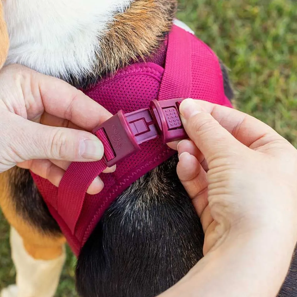 Halsbänder, Leinen & Geschirre>Futterfreund Curli Geschirr Vest Air-Mesh Clasp, Mango