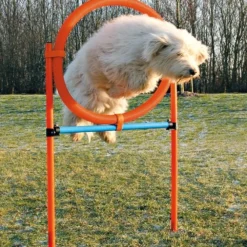 Sport & Training>Futterfreund Dog Activity Agility Ring, 115x3 cm, 78 cm, orange