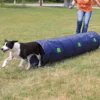 Sport & Training>Futterfreund Dog Activity Agility Tunnel, 40 cm/2 m, blau