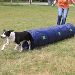 Sport & Training>Futterfreund Dog Activity Agility Tunnel, 40 cm/2 m, blau