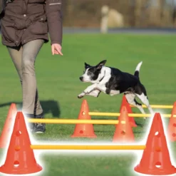 Sport & Training>Futterfreund Dog Activity Hindernis Set, Kunststoff