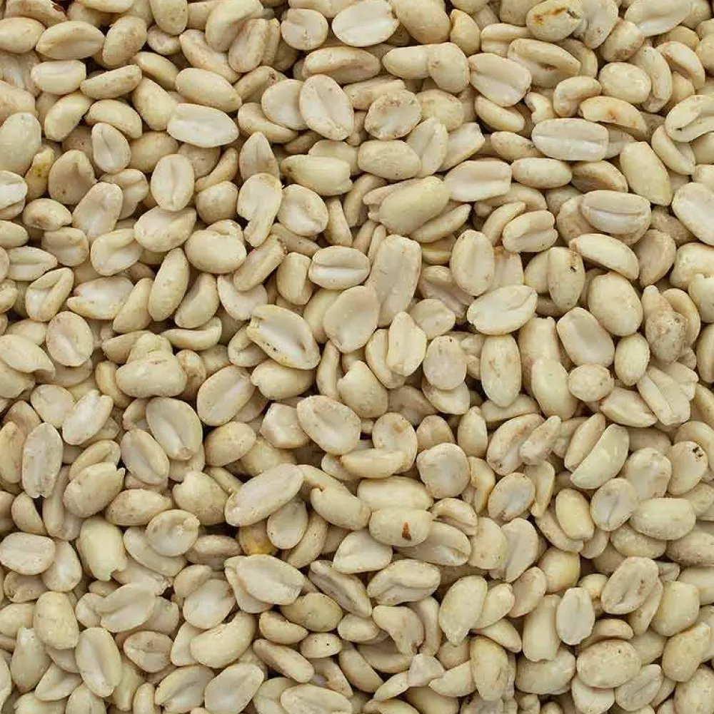 Wildvogelfutter>Futterfreund GEVO Erdnusskerne, weiß blanchiert 2,5 kg