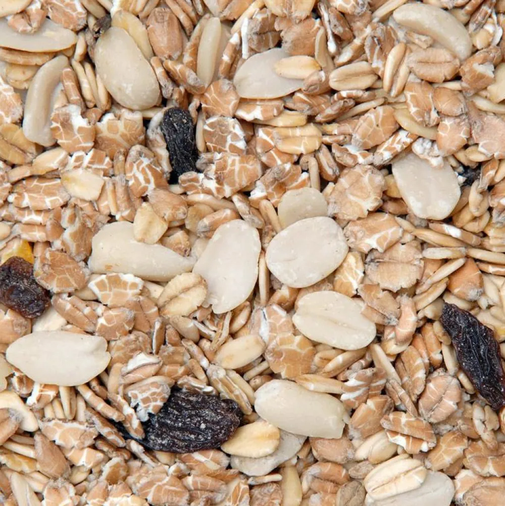 Wildvogelfutter>Futterfreund GEVO Fettfutter Premium 2,5 kg
