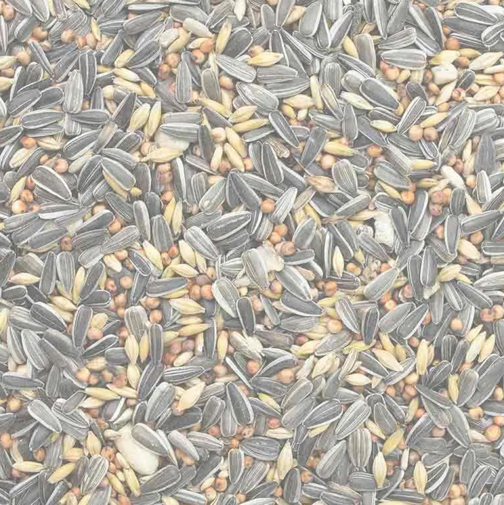 Wildvogelfutter>Futterfreund GEVO Streufutter 2,5 kg