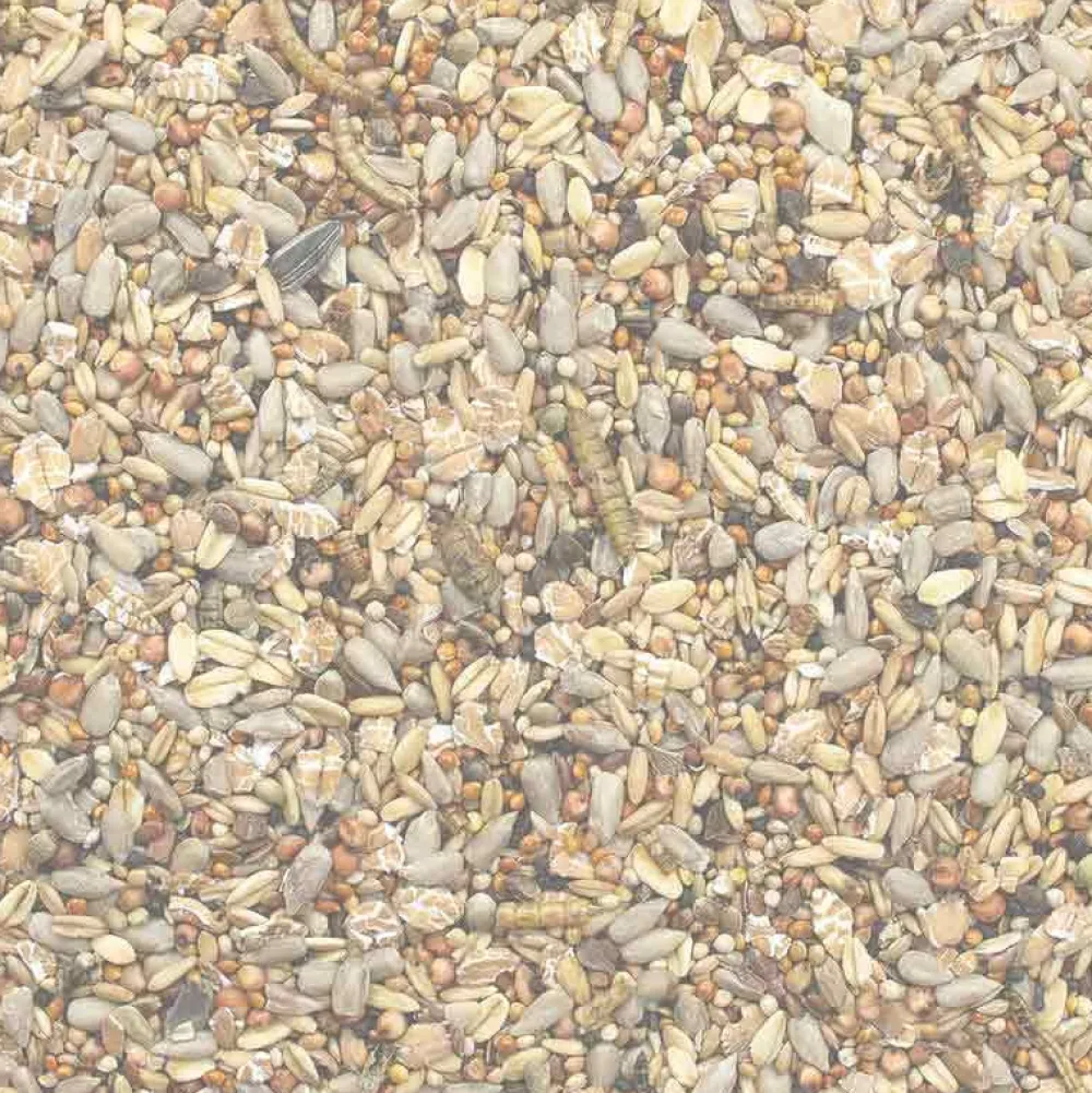 Wildvogelfutter>Futterfreund GEVO Wildvogelfutter mit Insekten 2,5 kg