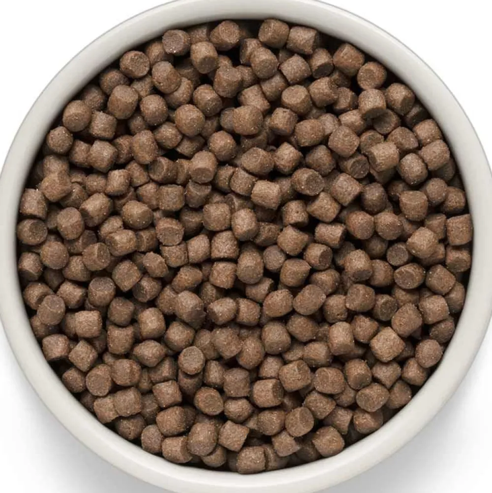 Grandorf>Futterfreund Grandorf Adult Mini 4 Fleisch
