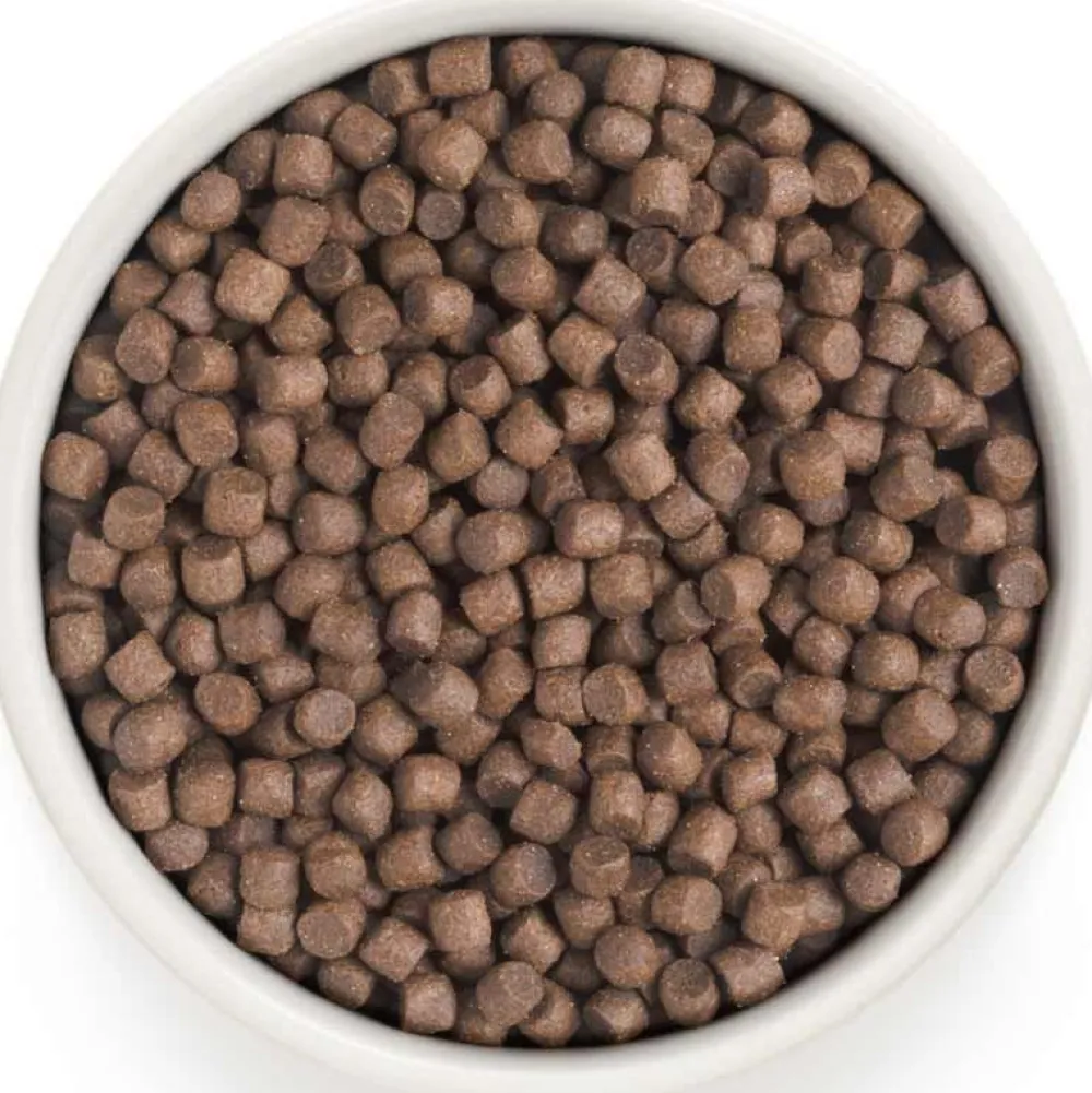 Grandorf>Futterfreund Grandorf Adult Mini Pute