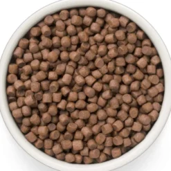 Grandorf>Futterfreund Grandorf Fresh Adult Mini Frische Ente