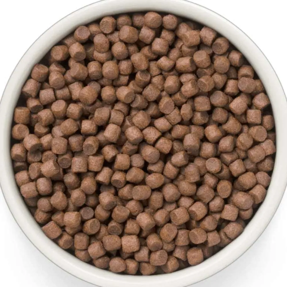 Grandorf>Futterfreund Grandorf Fresh Adult Mini Frische Ente