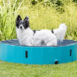 Sommer|Spielzeug>Futterfreund Hundepool