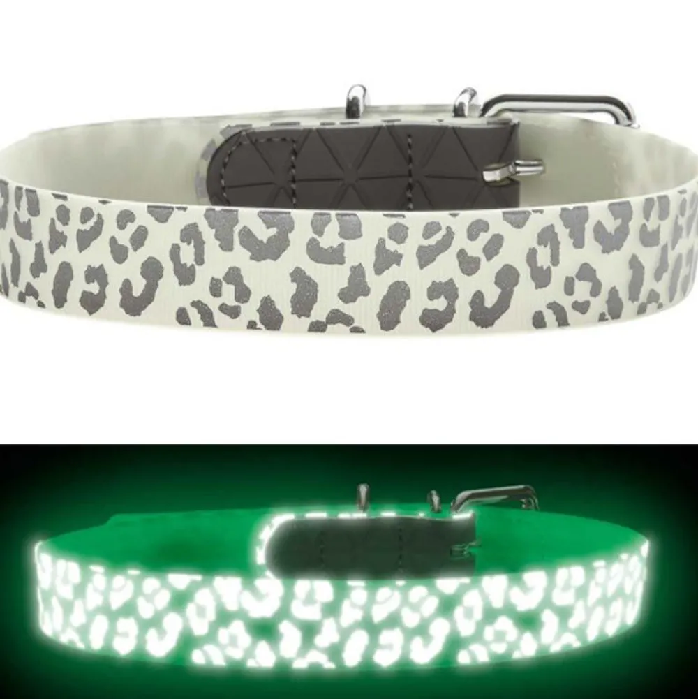 Halsbänder, Leinen & Geschirre>Futterfreund Hunter Halsband Conven. Ref. Glow, Leo