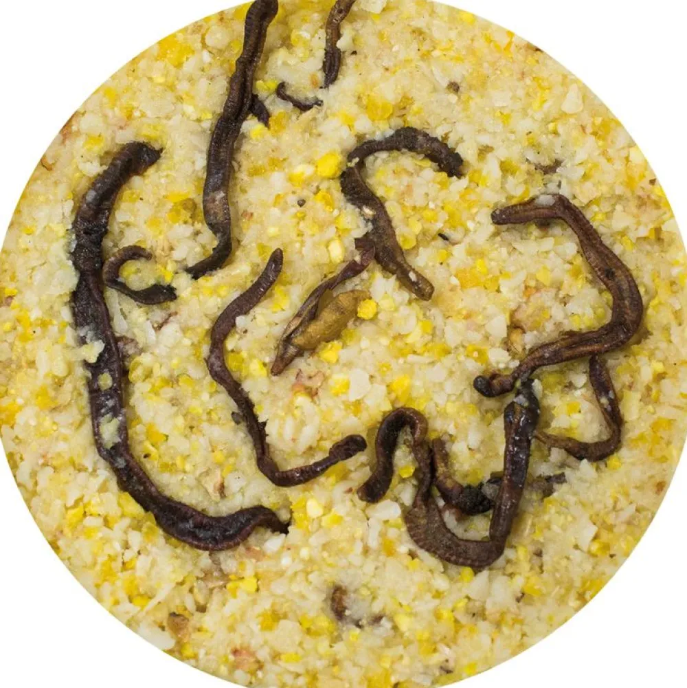 Wildvogelfutter>Futterfreund JR Farm Garden Peanut Bar Erdnussbutter mit Regenwürmer 350g