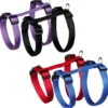 Katzengeschirre>Futterfreund Katzengarnitur, für alle Katzen, Nylon, 26-43 cm/10 mm