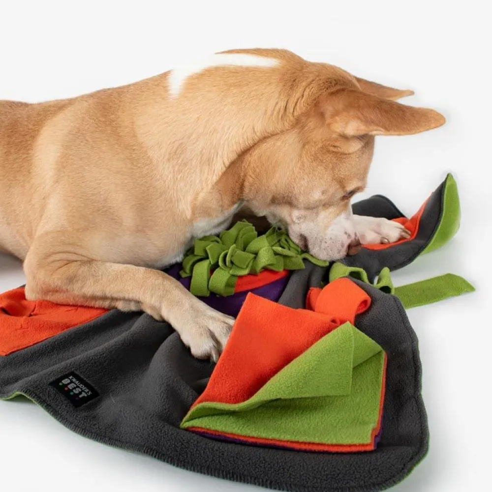 Sport & Training|Spielzeug>Futterfreund Knauders Best Happy Pad 60x60cm