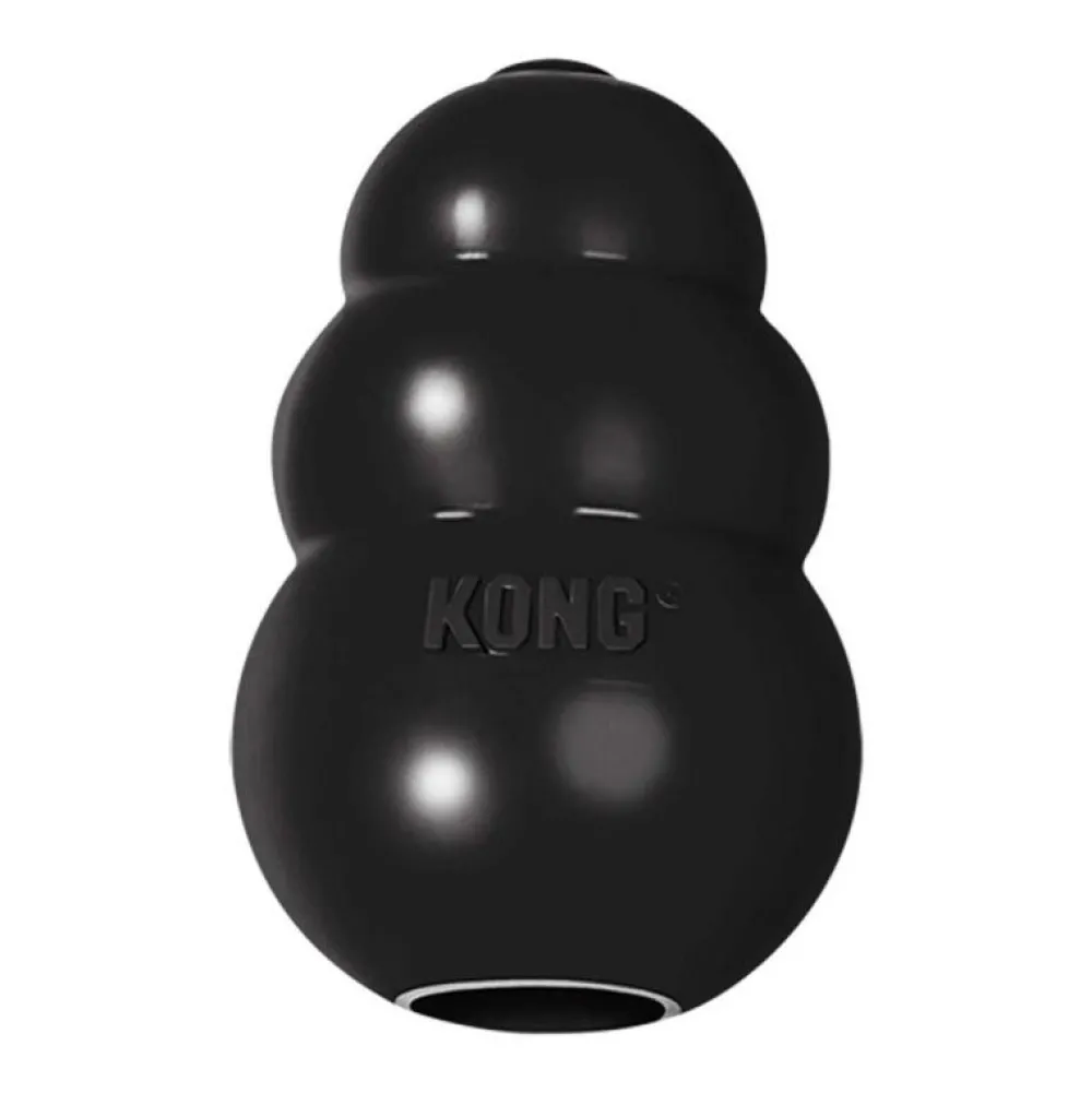 Spielzeug>Futterfreund KONG Extreme, schwarz