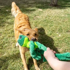Spielzeug>Futterfreund KONG Knots Frosch Lg/XL 46cm