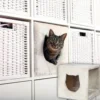 Katzen Schlafplatz|Kratzbäume Und -Möbel>Futterfreund Kuschelhöhle für Regal, 37 x 33 x 33 cm, lichtgrau