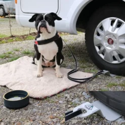 Camping Mit Hund|Unterwegs Mit Hund>Futterfreund Linnepe Dog-Sitter 1 Stück
