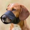Sport & Training>Futterfreund Maulschlaufe, XS: 16cm/5cm, schwarz
