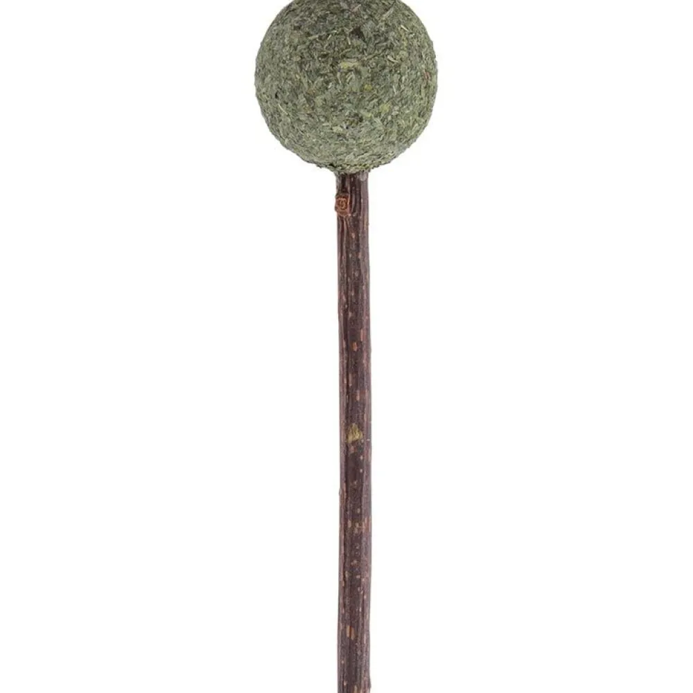Katzenspielzeug>Futterfreund Petlando Earthcat Catnip Lolli