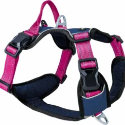 Halsbänder, Leinen & Geschirre>Futterfreund Petando agnetech Gechirr, navy/fuchia