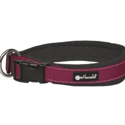 Halsbänder, Leinen & Geschirre>Futterfreund Petlando Outdoor Halsband, berry