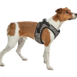 Halsbänder, Leinen & Geschirre>Futterfreund Premium Urban Vest Geschirr, Leo, creme