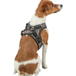 Halsbänder, Leinen & Geschirre>Futterfreund Premium Urban Vest Geschirr, Leo, braun
