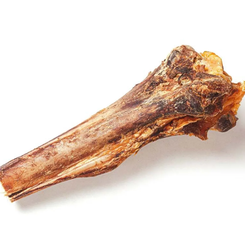 Strauß>Futterfreund SavannaDog Grosser Schienbeinknochen Strauss 1 St. (450g)