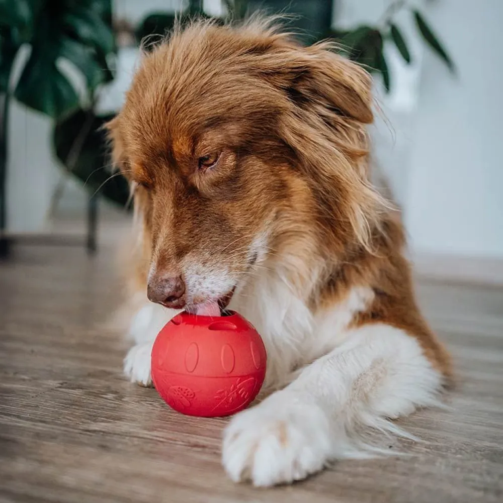 Smoothiedog|Spielzeug>Futterfreund SmoothieDog Schleckball-Set