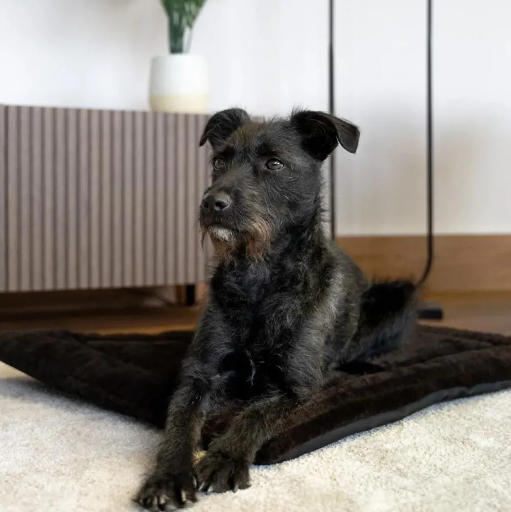 Unterwegs Mit Hund|Schlafplatz>Futterfreund TrendPet Harmony Flex, braun