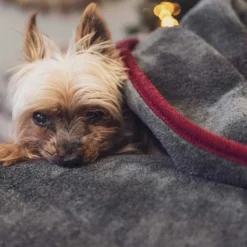 Unterwegs Mit Hund|Schlafplatz>Futterfreund TrendPet Ruby Kuschel- und Trocknungsdecke, grau