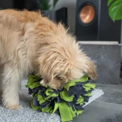Unterwegs Mit Hund|Schlafplatz>Futterfreund TrendPet Schnüffelball 25cm