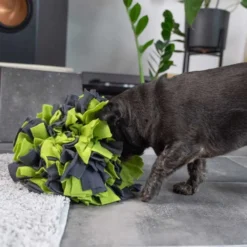 Unterwegs Mit Hund|Schlafplatz><noscript><img width=