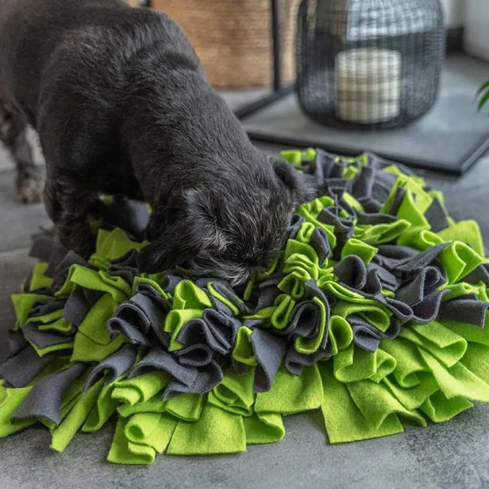 Unterwegs Mit Hund|Schlafplatz>Futterfreund TrendPet Schnüffelteppich 48x48x10cm