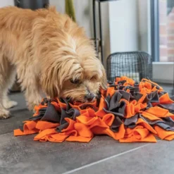 Unterwegs Mit Hund|Schlafplatz><noscript><img width=