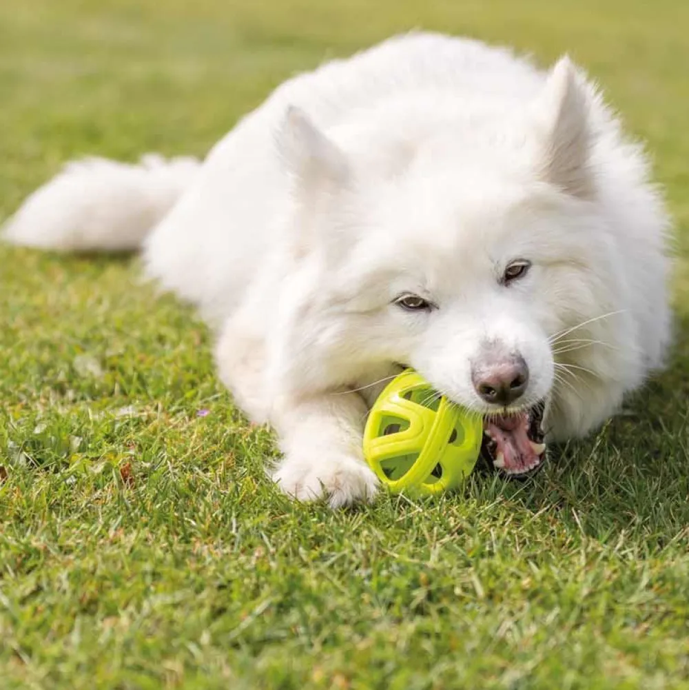 Sport & Training|Spielzeug>Futterfreund Wabenrugby, TPE, 11cm, lime