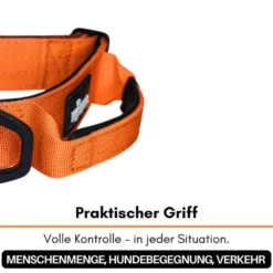 Halsbänder, Leinen & Geschirre>Futterfreund Woofed Nylon Tactical, Halsband, Griff, safety orange