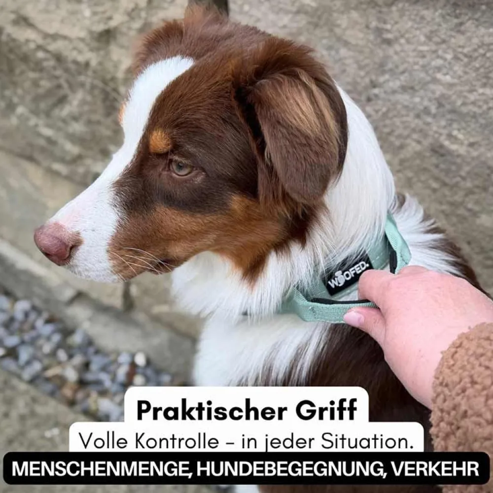 Halsbänder, Leinen & Geschirre>Futterfreund Woofed Nylon Tactical, Halsband, Griff, sage green