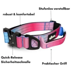 Halsbänder, Leinen & Geschirre>Futterfreund Woofed Nylon Tactical, Halsband, Griff, pink blue sky