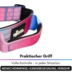 Halsbänder, Leinen & Geschirre><noscript><img width=